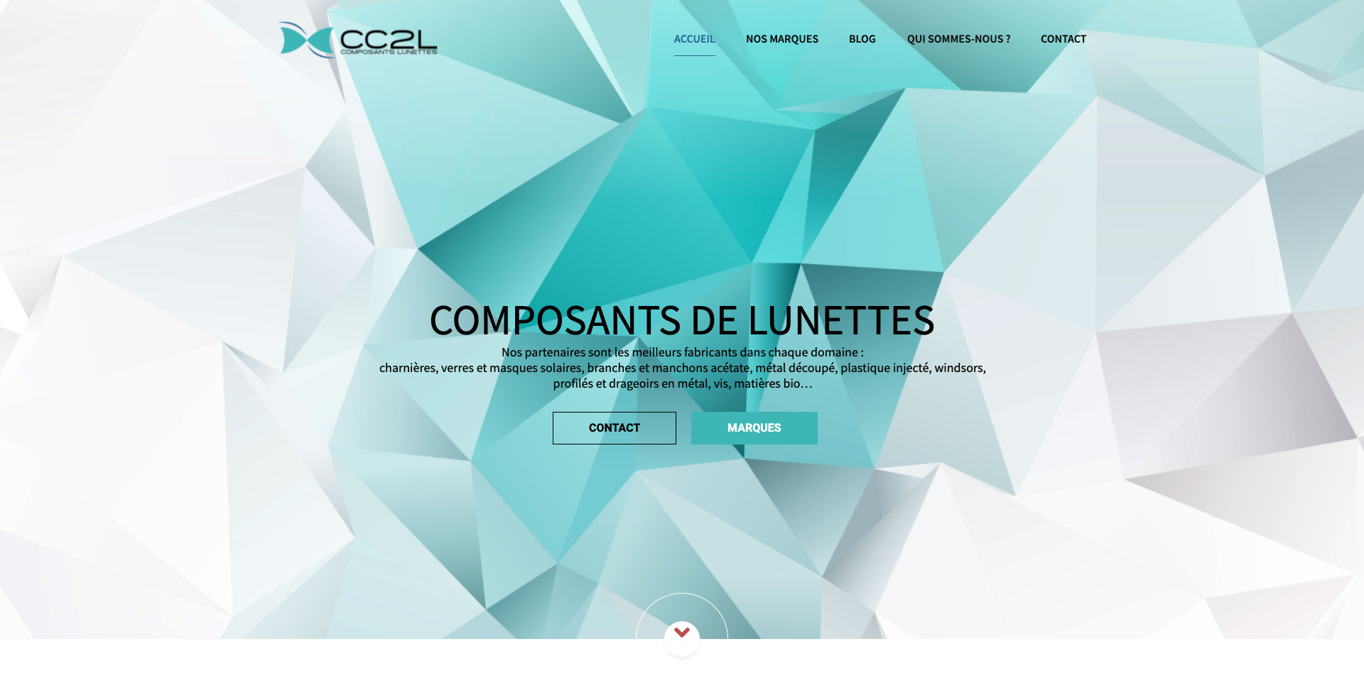 image capture d'écran projet site cc2l