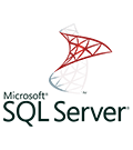 Logo SqlServer N2m